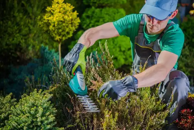 landscaping services Thornville